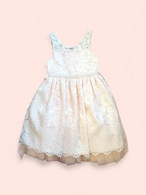 American Princess Lace Tulle Party Dress - Blush